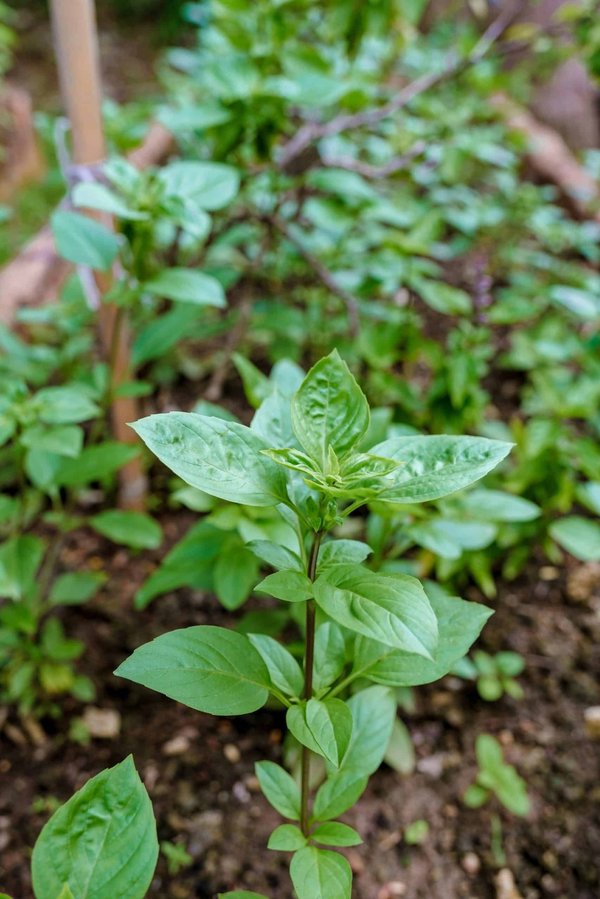 Was sind die besten umweltfreundlichen Modemarken?