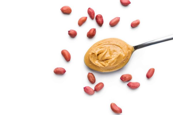 Welche Symptome deuten auf eine Futterallergie bei meiner Katze hin?